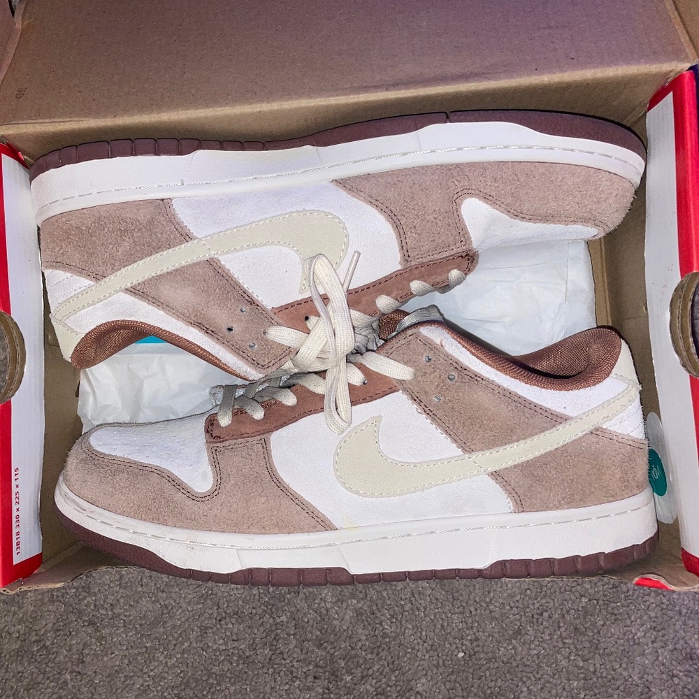 Size 11 Nike Dunk Curry